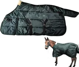 La La Pet Waterproof Warm-Keep Horse Turnout Blanket Adjustable and Breathable Clothes for Horse Mini Pony Ripstop Medium Weight 220g Poly Fill for Winter Green 49Inches