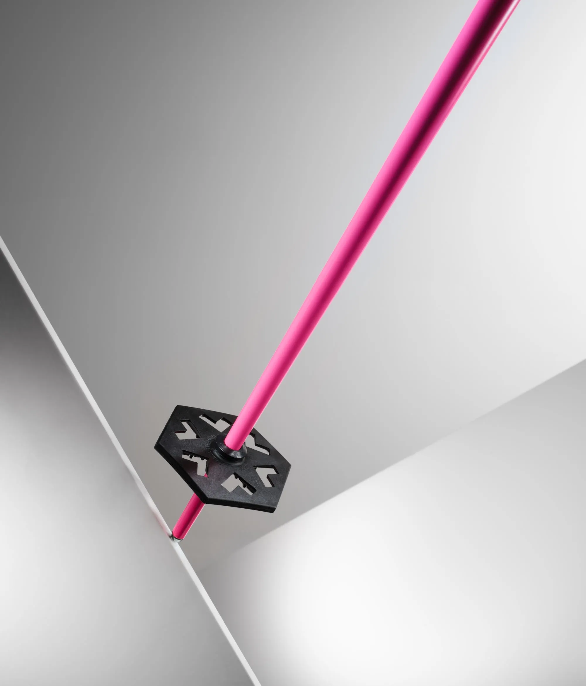 Meta Ski Poles