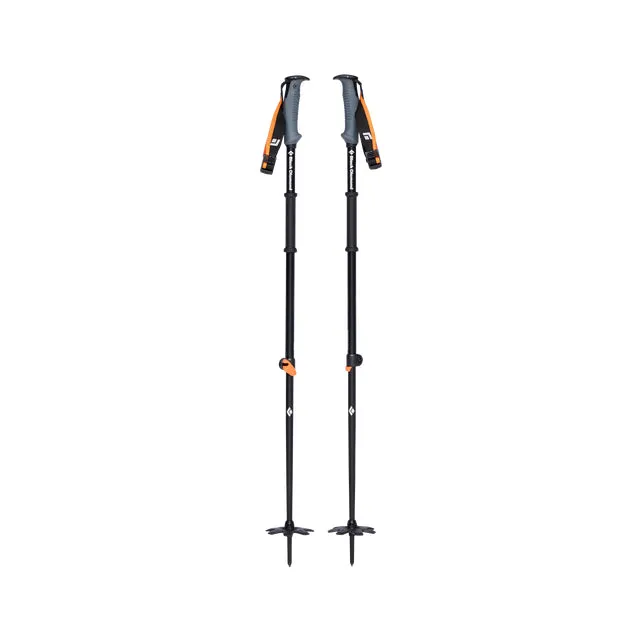 Traverse Wr Ski Poles