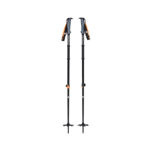 Traverse Wr Ski Poles